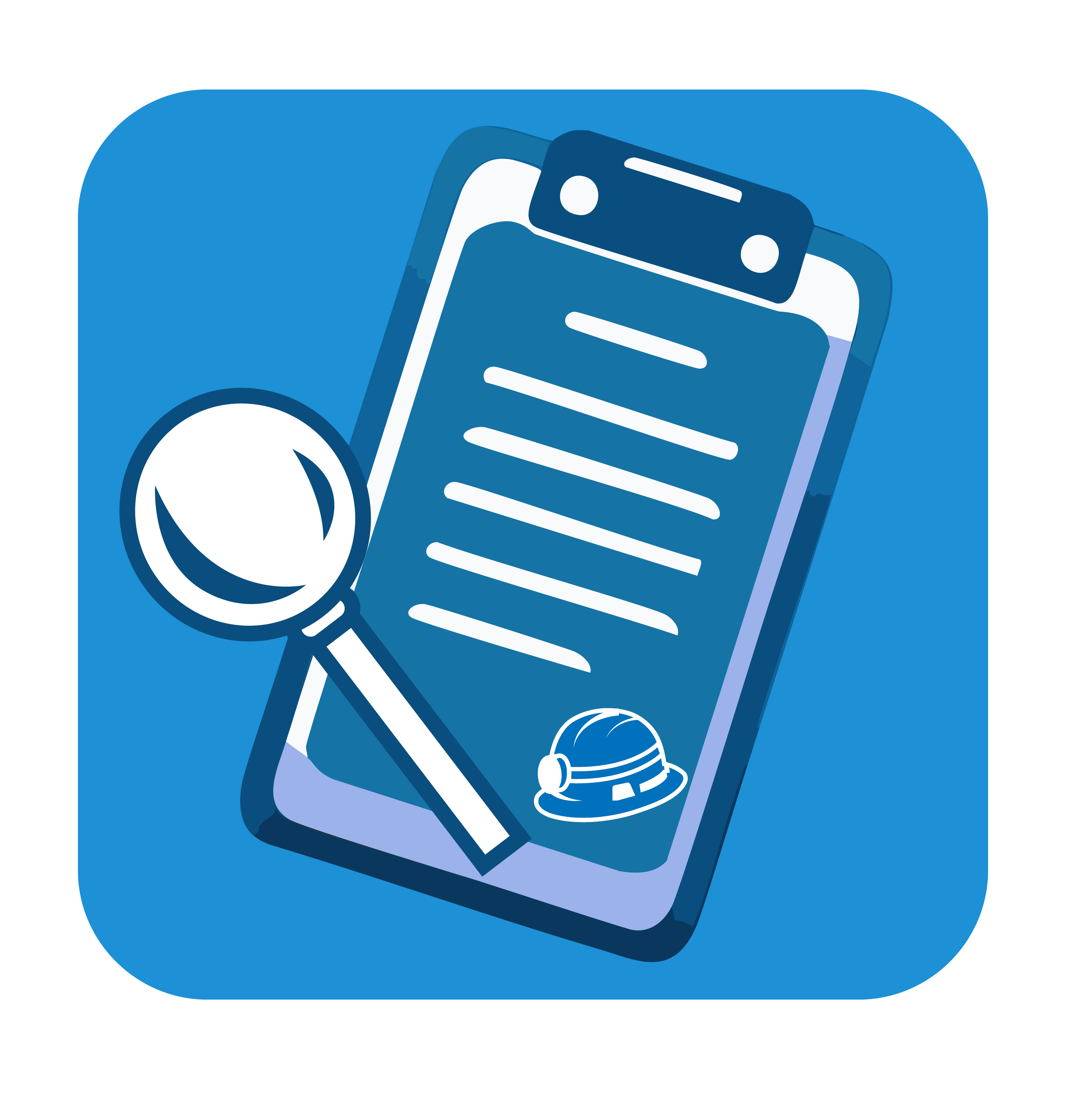inspection data set icon