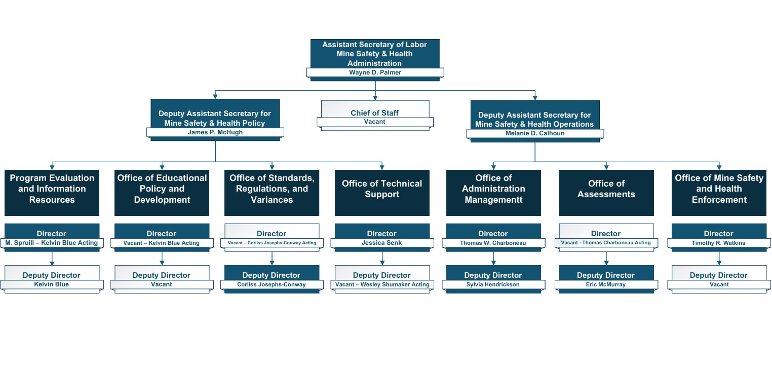 OAS Org Chart